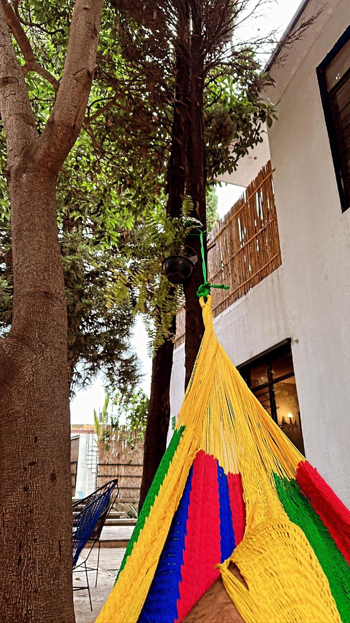 Xitla Hostel Oaxaca Extérieur photo